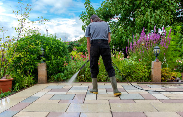 Best Pre-Holiday Cleaning  in Tarpey Village, CA
